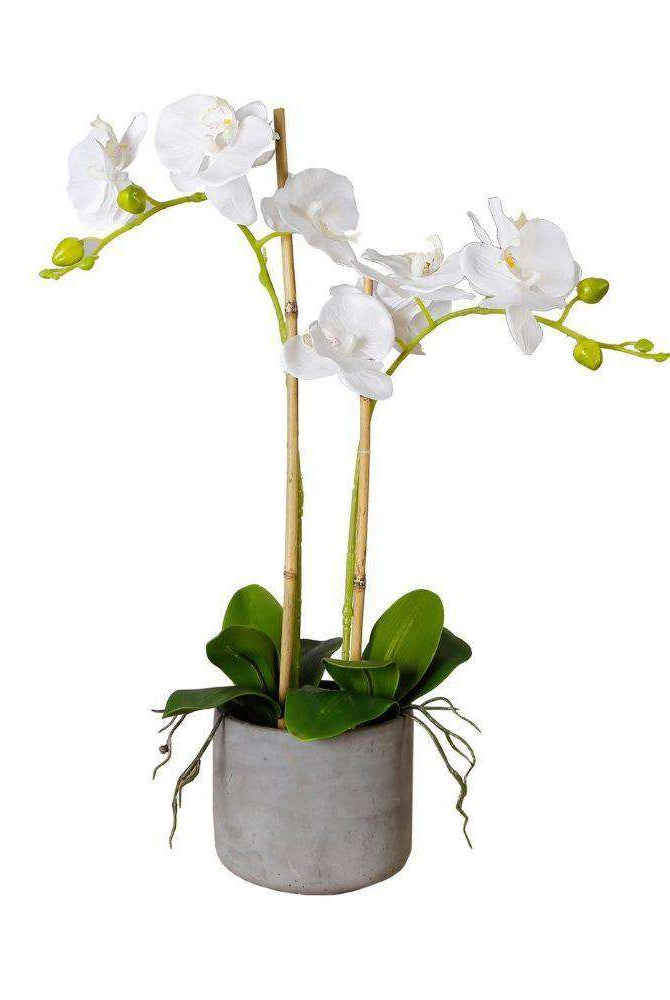 Tampico Faux Potted Orchid Floral Arrangement 24 Inches ArtiPlanto