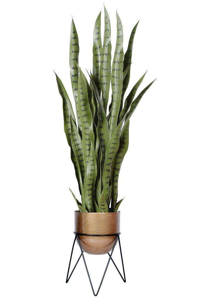 Teresa - Brass Mid-Century Planter With Black Metal Stand ArtiPlanto