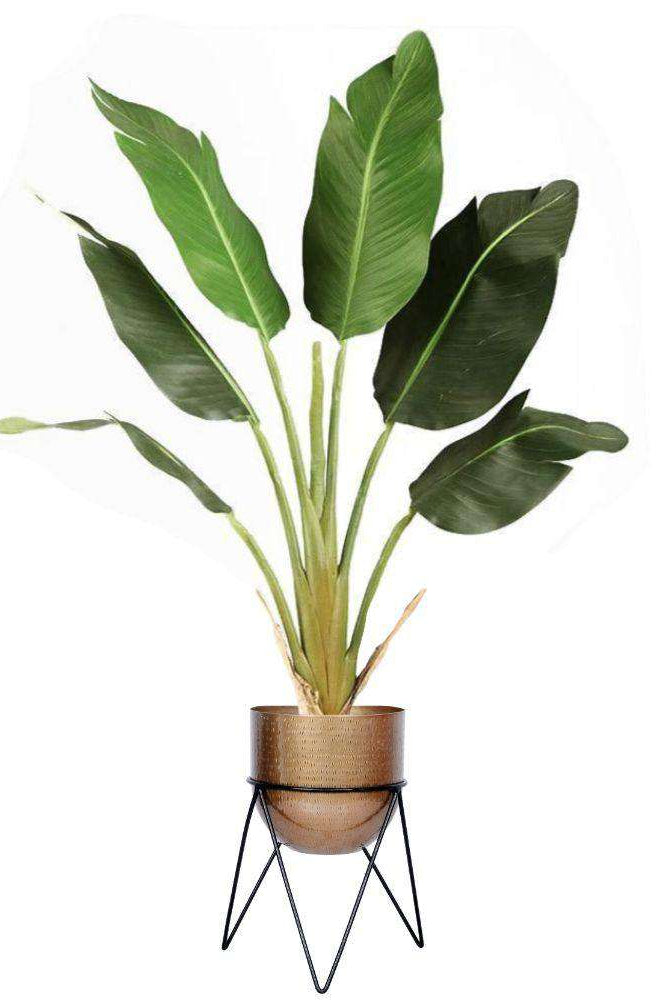 Teresa - Brass Mid-Century Planter With Black Metal Stand ArtiPlanto