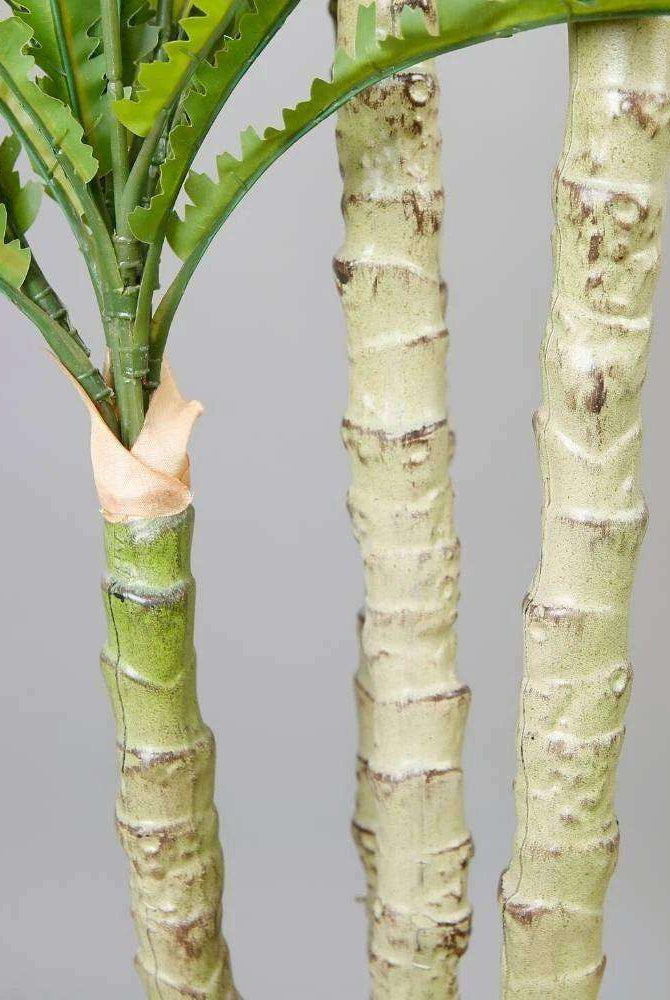 ALBA ARTIFICIAL BIRD NEST FERN POTTED PLANT 5.2' Potted Artificial Plant ArtiPlanto