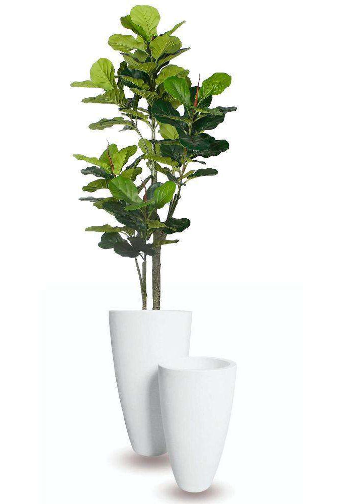 Lazio White Cement Planter (Multiple Sizes) Cement Planter ArtiPlanto