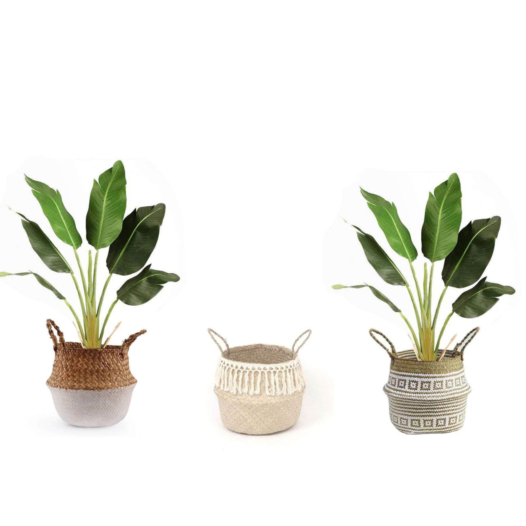 LOLA Artificial Bird Of Paradise Potted Plant 3' Potted Artificial Plant ArtiPlanto