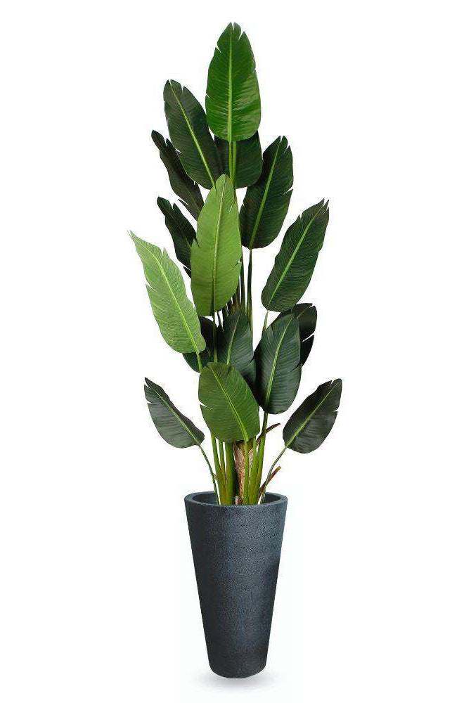 VANETO BLACK CEMENT PLANTER (Multiple Sizes) ArtiPlanto