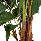 XAVI ARTIFICIAL FISHTAIL PALM TREE POTTED PLANT (MULTIPLE SIZES) ArtiPlanto