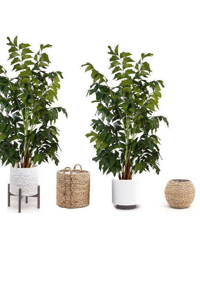 XAVI ARTIFICIAL FISHTAIL PALM TREE POTTED PLANT (MULTIPLE SIZES) ArtiPlanto