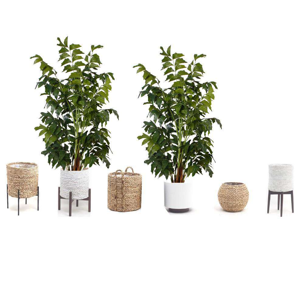 XAVI ARTIFICIAL FISHTAIL PALM TREE POTTED PLANT (MULTIPLE SIZES) ArtiPlanto