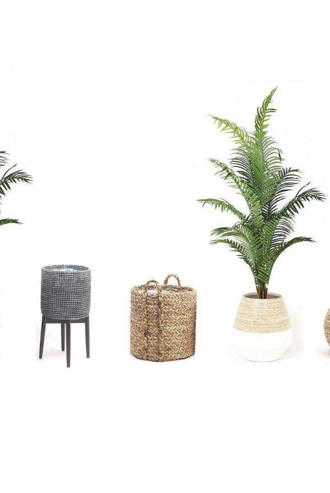 XELA Artificial Hawaii Kwai Palm Tree Potted Plant (Multiple Sizes) ArtiPlanto