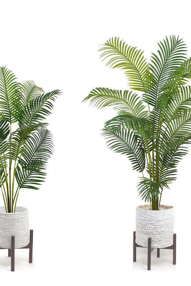 XELO Artificial Hawaii Kwai Palm Tree Potted Plant (MULTIPLE SIZES) ArtiPlanto