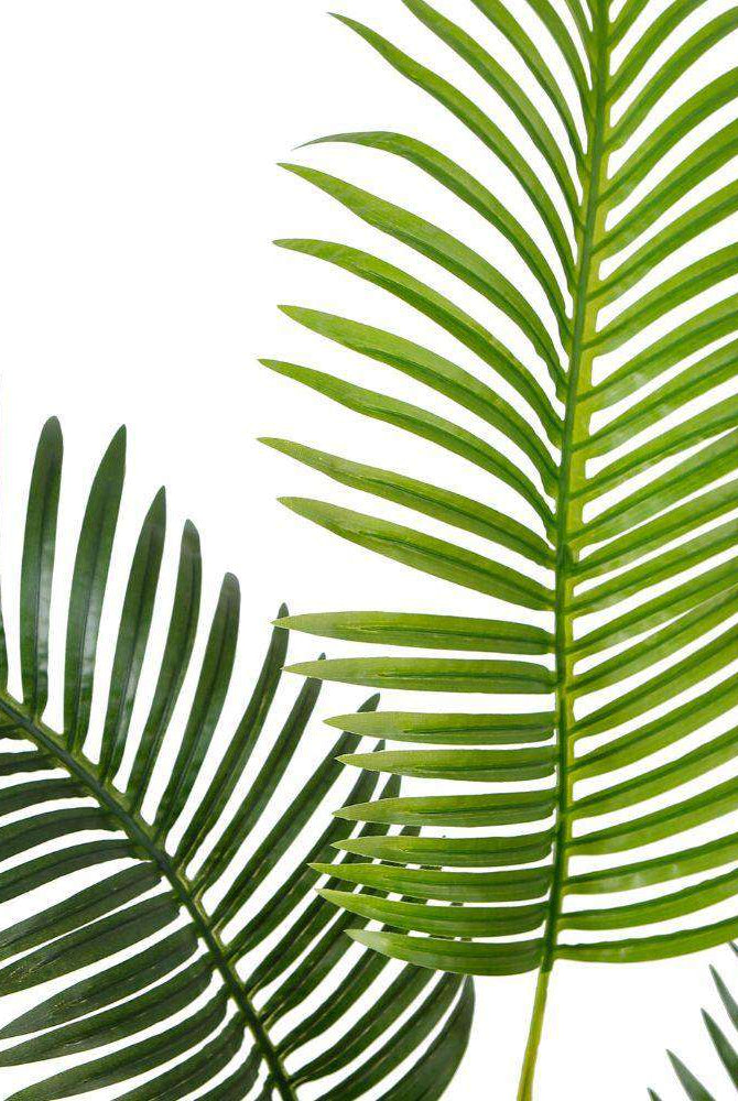 XELO Artificial Hawaii Kwai Palm Tree Potted Plant (MULTIPLE SIZES) ArtiPlanto