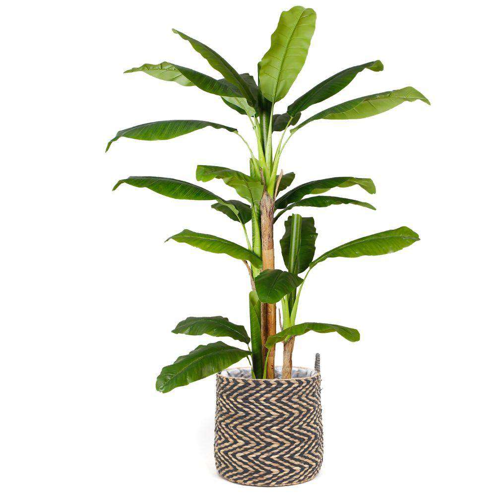XIMENA WATER HYACINTH PLANTER ArtiPlanto