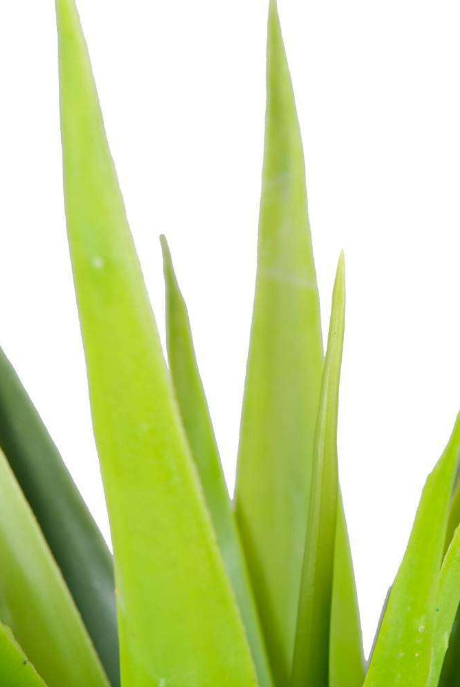 YARA ARTIFICIAL AGAVE POTTED PLANT 51'' ArtiPlanto