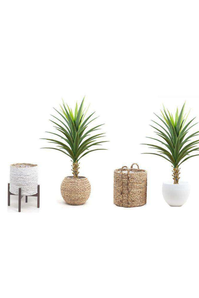 YARA ARTIFICIAL AGAVE POTTED PLANT 51'' ArtiPlanto
