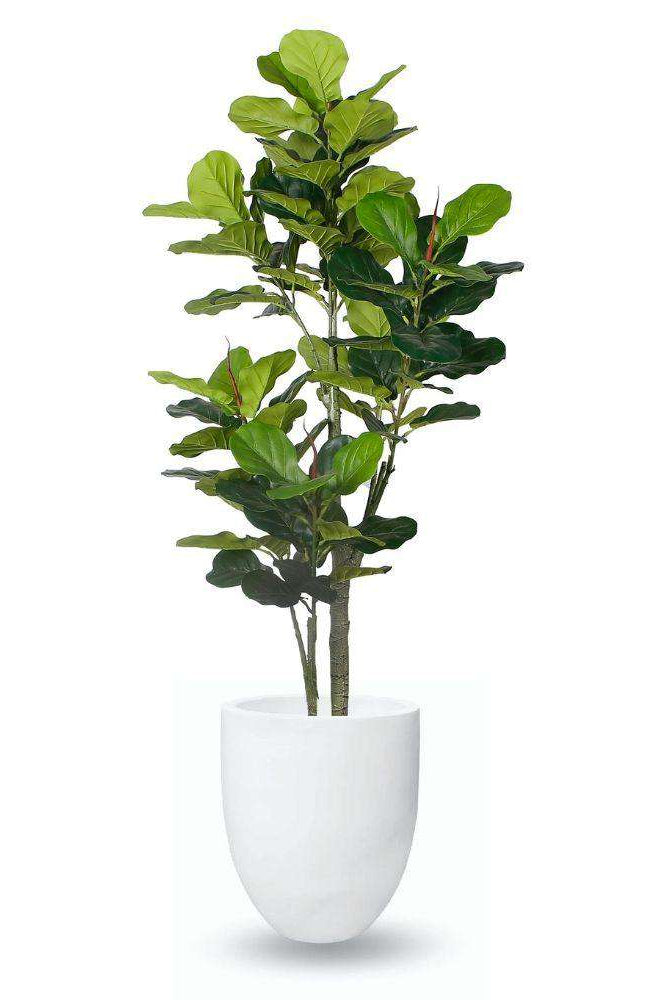 YELAPA CEMENT PLANTER (multiple sizes) ArtiPlanto