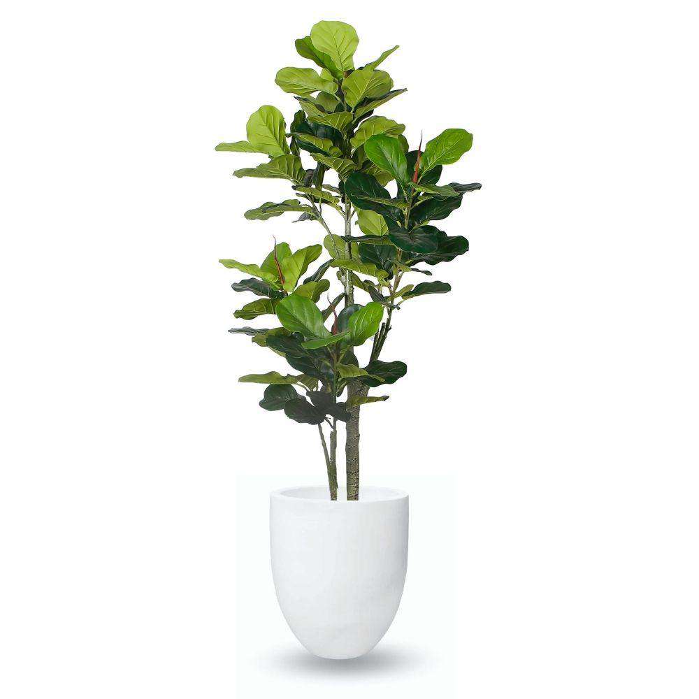 YELAPA CEMENT PLANTER (multiple sizes) ArtiPlanto