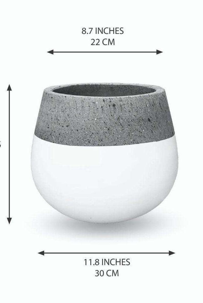 ZAMORA CEMENT PLANTER (Multiple Sizes) ArtiPlanto