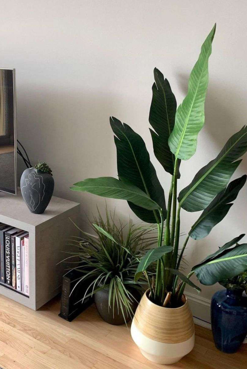 ZAPO Artificial Bird Of Paradise Potted Plant (Multiple Sizes) ArtiPlanto