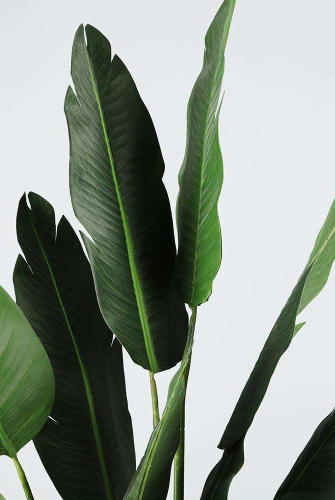 ZAPO Artificial Bird Of Paradise Potted Plant (Multiple Sizes) ArtiPlanto