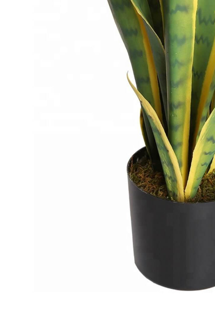 ZORA Artificial Snake Sansevieria Yellow And Green Potted Plant 30'' ArtiPlanto
