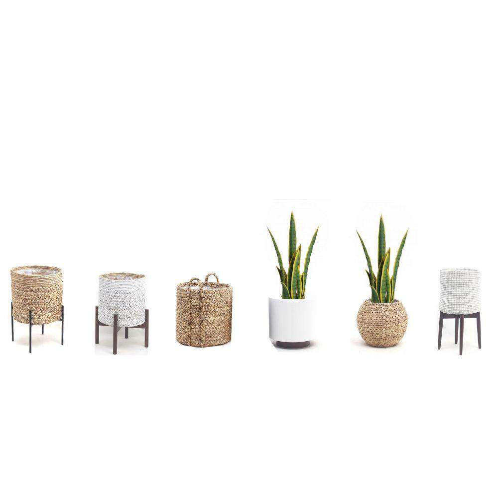 ZORA Artificial Snake Sansevieria Yellow And Green Potted Plant 30'' ArtiPlanto