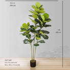 ALVA Artificial Fiddle Leaf Potted Plant (Multiple Sizes) Potted Artificial Plant ArtiPlanto 