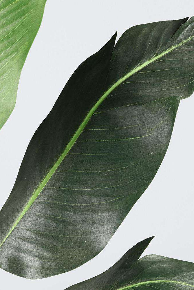 LOLA Artificial Bird Of Paradise Potted Plant 3' Potted Artificial Plant ArtiPlanto