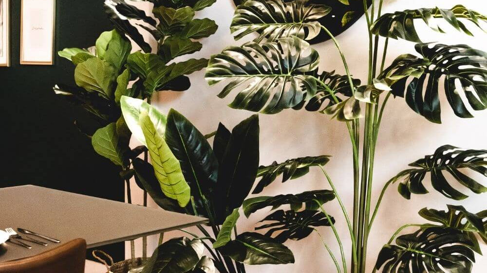Benefits of Having Faux Plants Around You