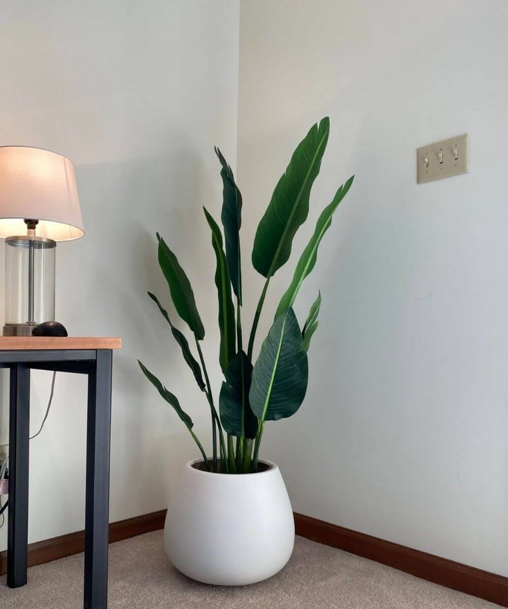 How to Decorate Your Office with Fake Plants And Accessories