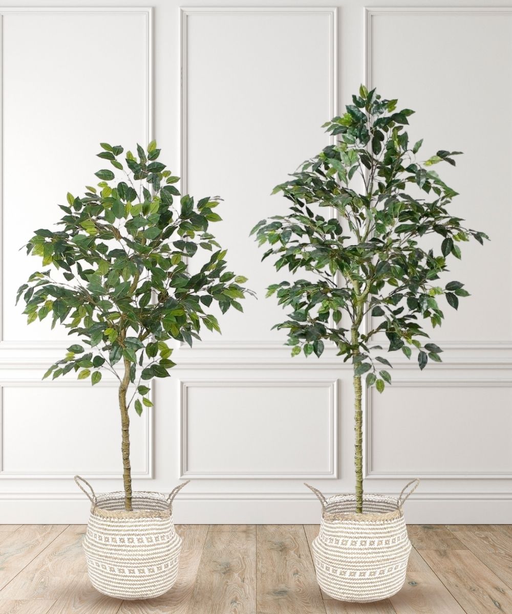 Goodbye Winter Plant Blues: Keep Your Home Green Without the Hassle