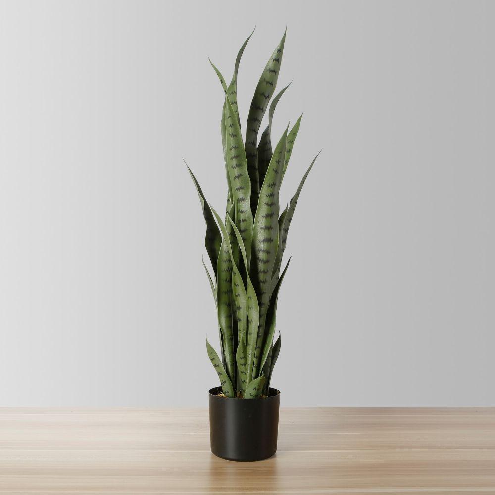 How to use artificial plants indoor?