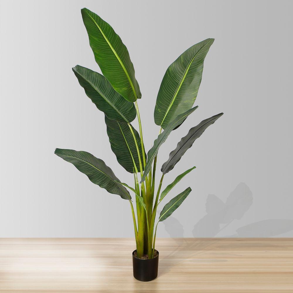 Ultimate Guide to Indoor Plants
