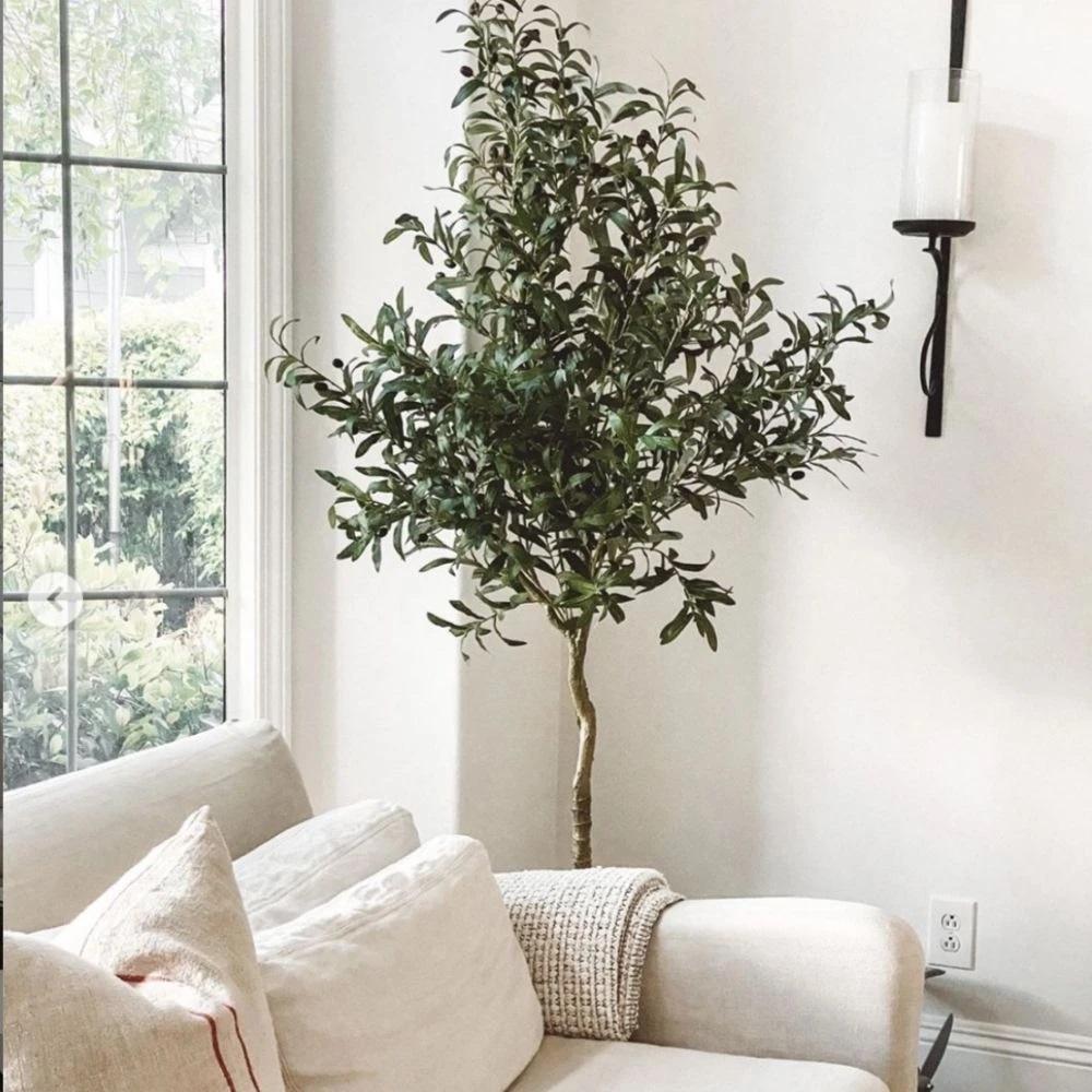 Why Faux Olive Tree Make the Best Seasonal Best Sell?