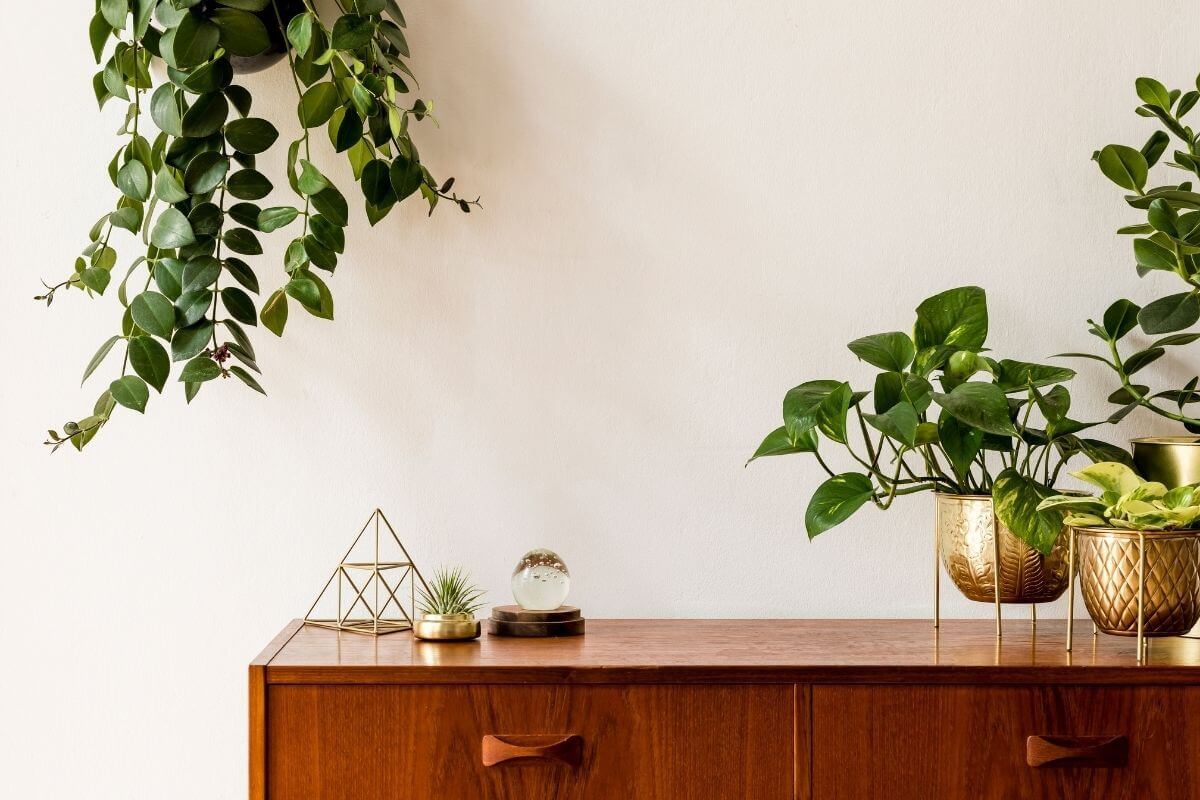 Why the Concept of Fake Plants is Always in Style