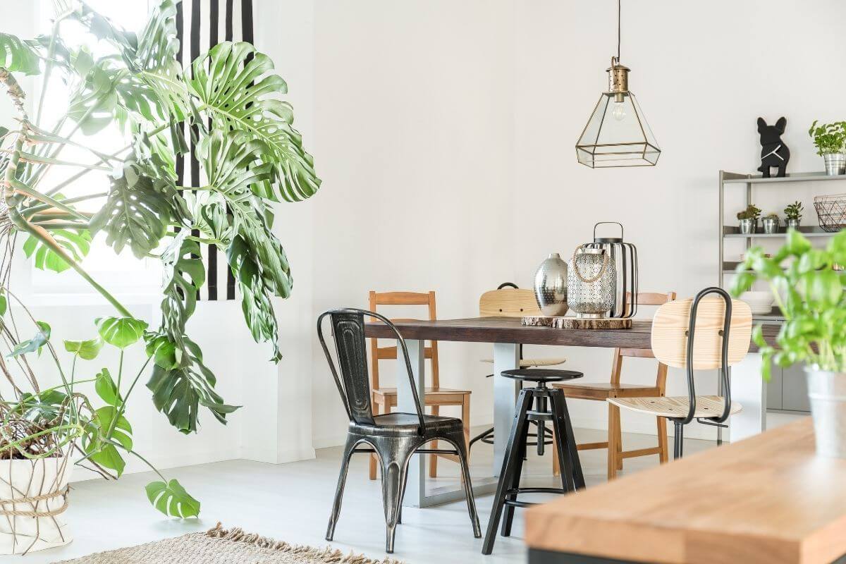 Best Fake Plants to Spice Up Your Dining Room, Entrance, and Living Room
