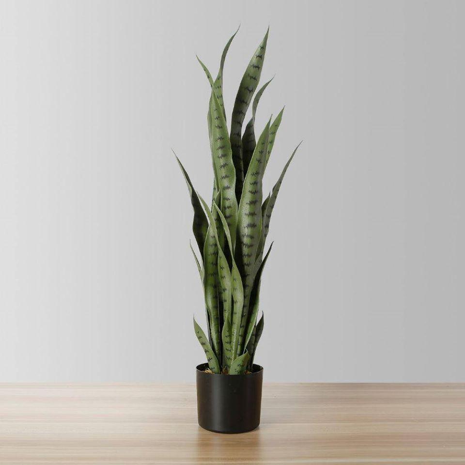 Best Types of Artificial Tabletop Plants for Your Home