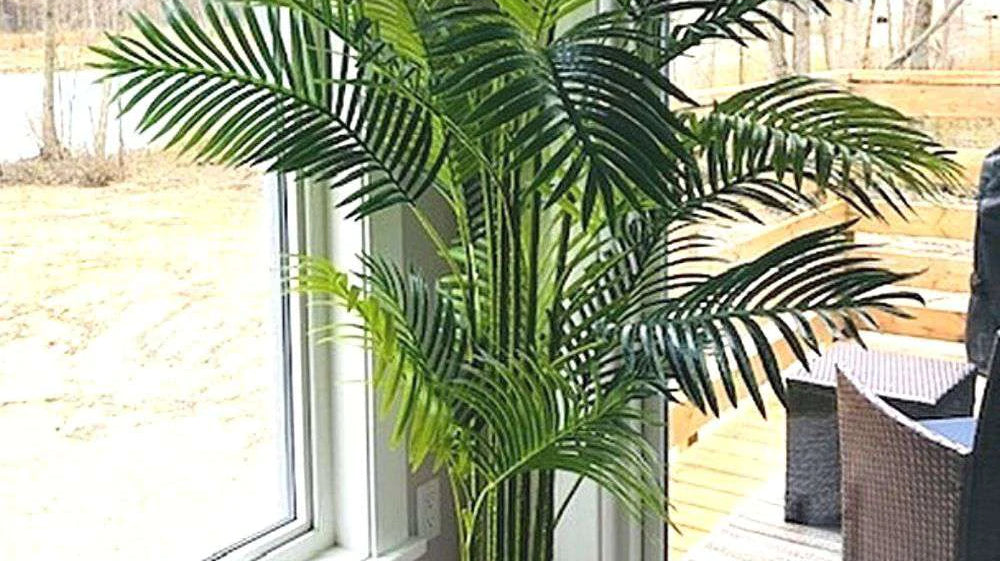 Tips And Tricks On Using Fake Plants In Your Home