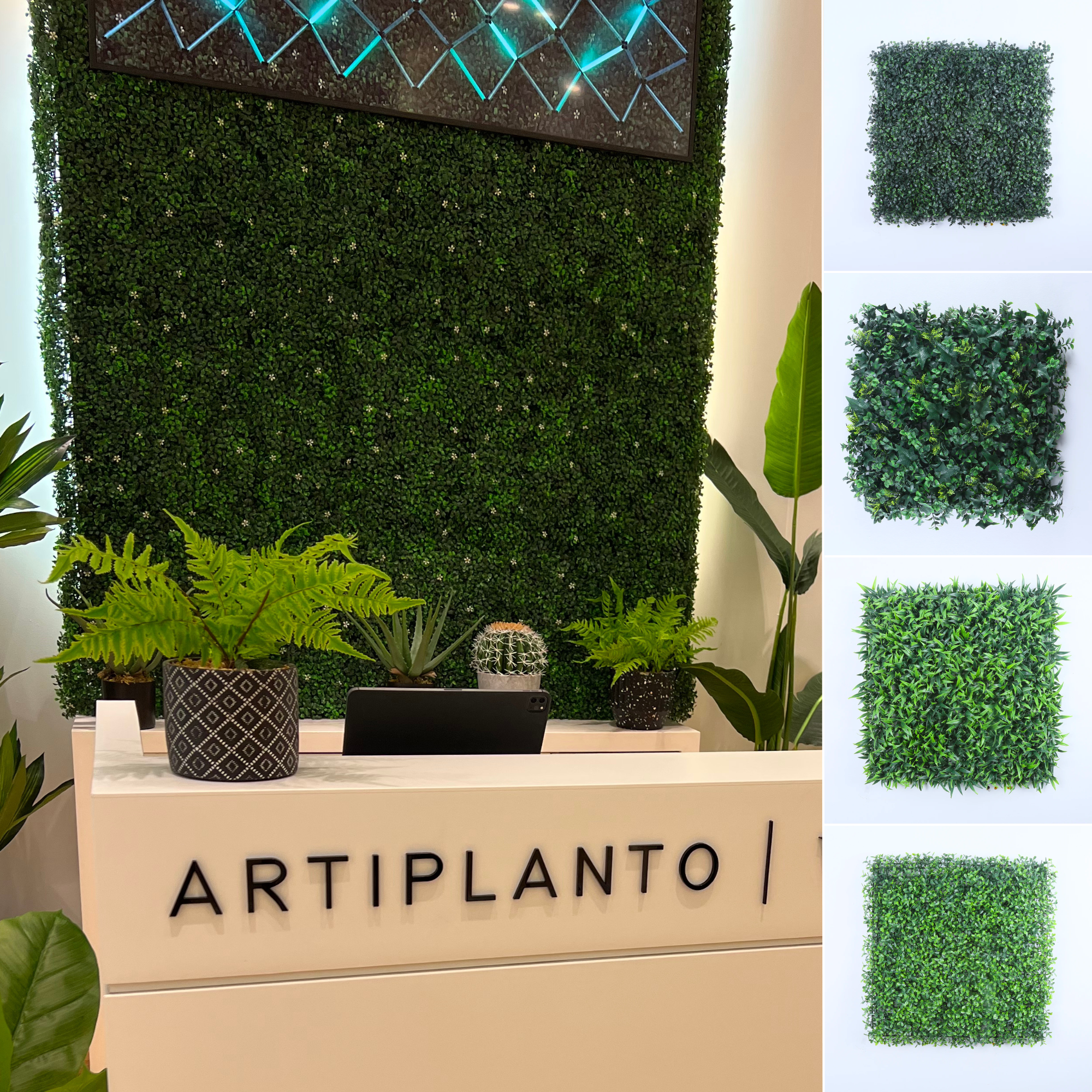 Elevate Your Interior with Artiplanto's Premium Linen Rugs and Pre-Order Green Walls for a Refreshing Touch