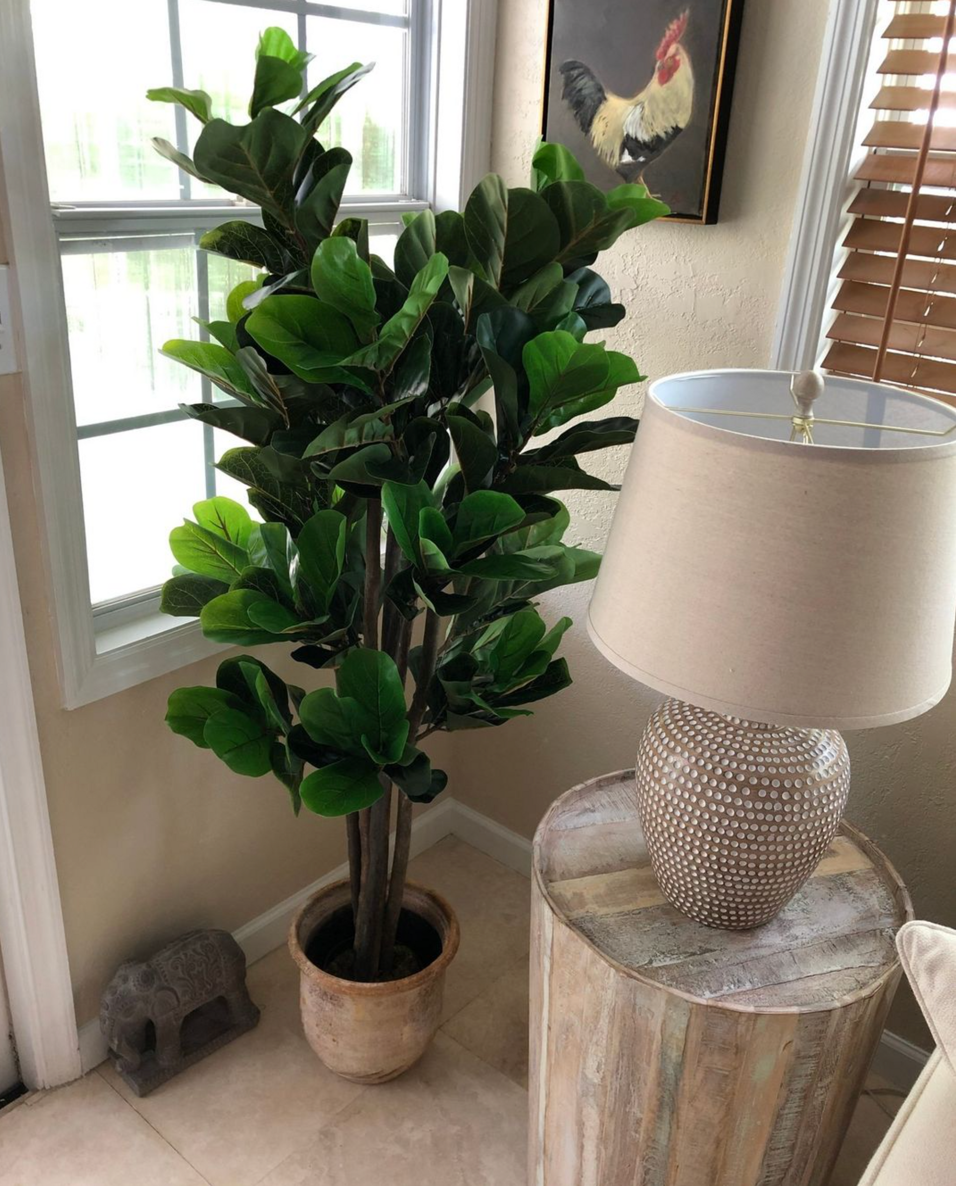 Safe Plants for Cats - Artiplanto  artiplanto