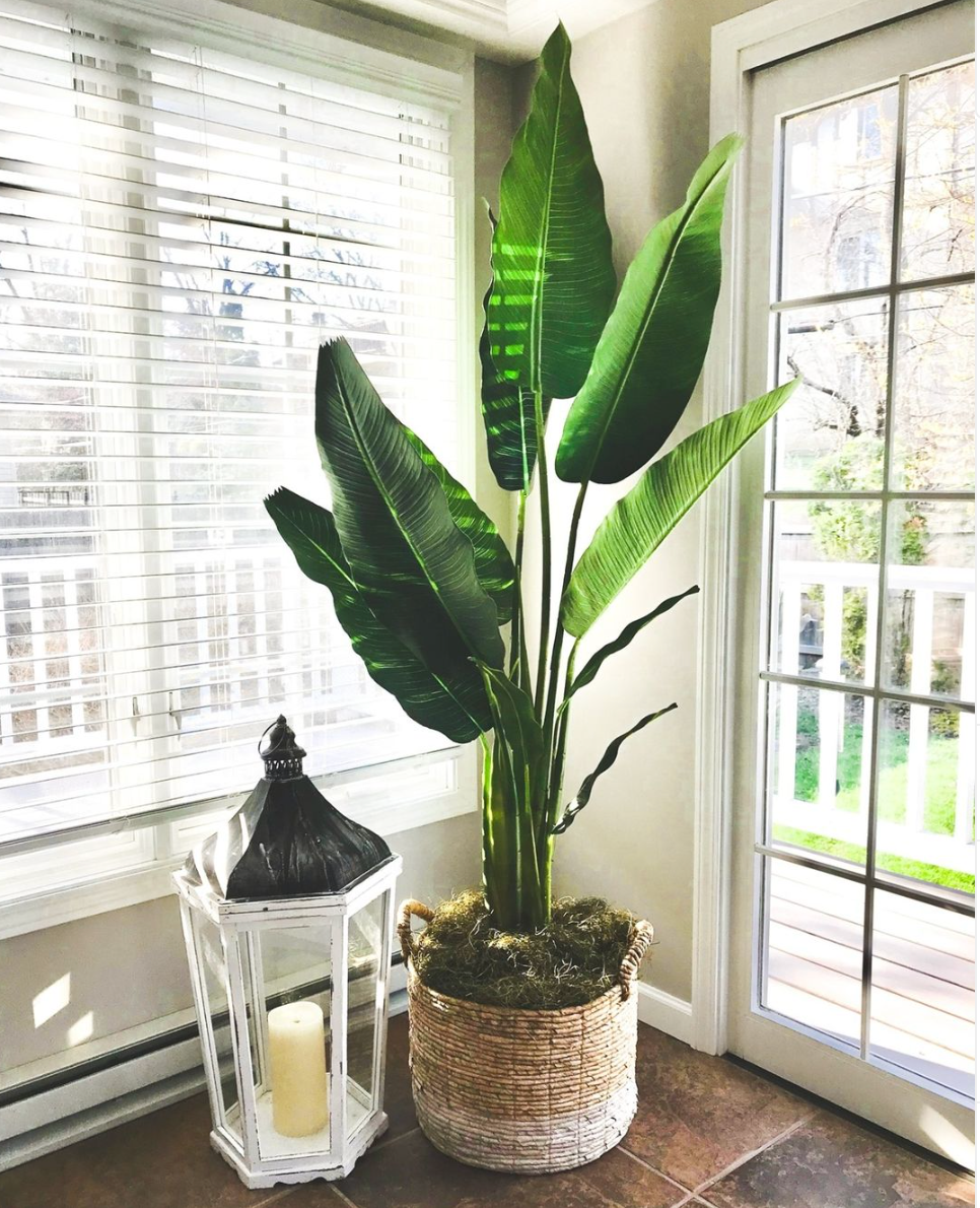 Benefits of having artificial plants in the house