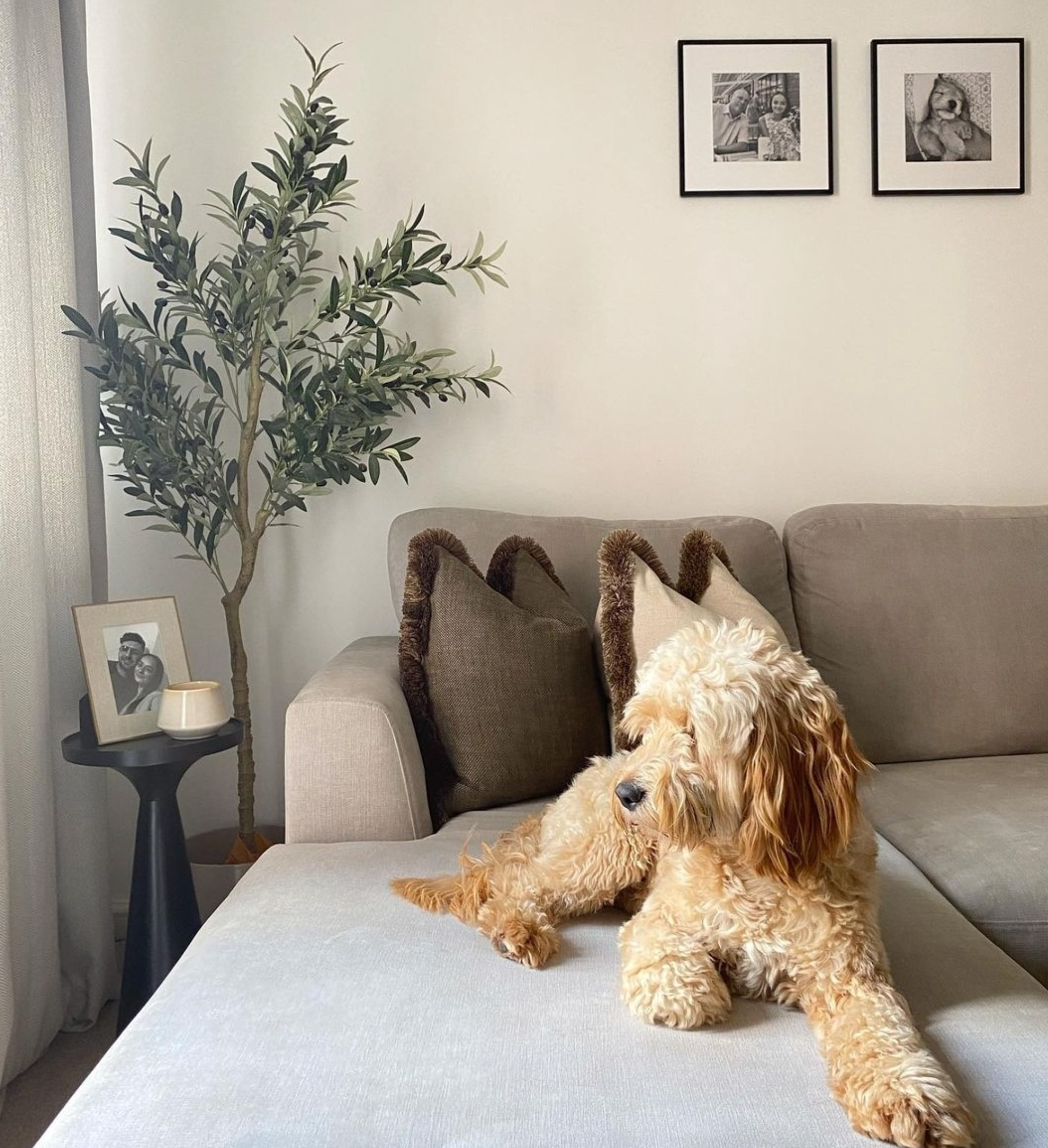 Embrace Greenery Safely: Why Premium Faux Plants from Artiplanto.com Are a Pet-Friendly Choice