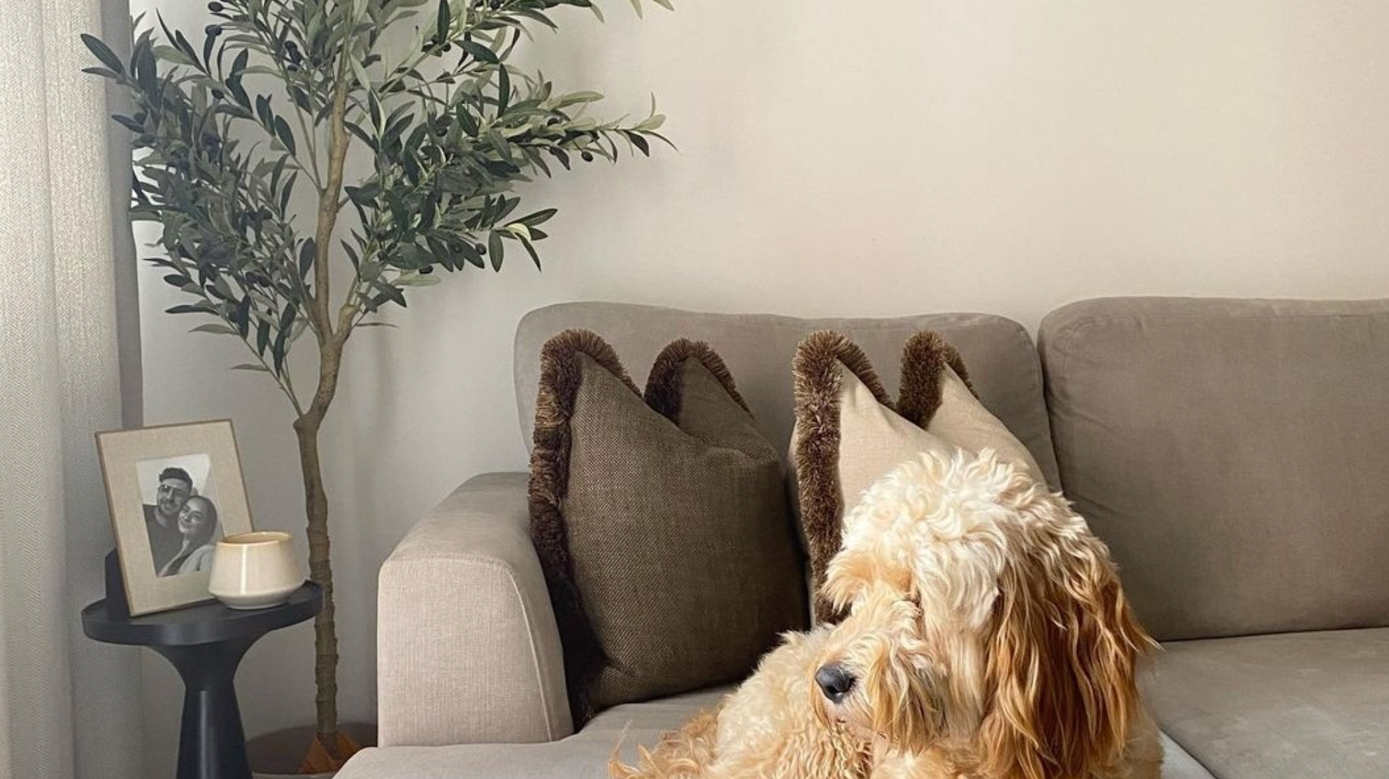 Embrace Greenery Safely: Why Premium Faux Plants from Artiplanto.com Are a Pet-Friendly Choice