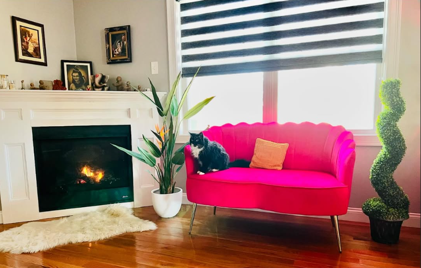 Pet-Friendly, Fuss-Free: Why Every Pet Owner Needs Artiplanto Plants