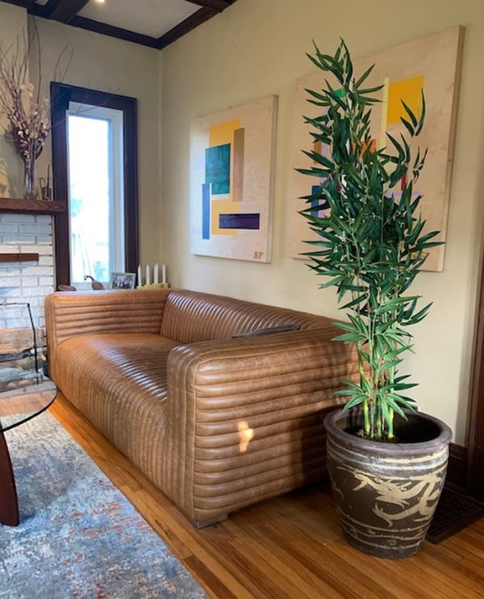 Ready, Set, Style: How Artiplanto Delivers Instant Plant Perfection to Your Doorstep