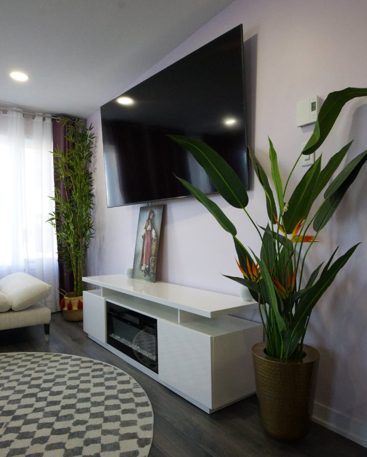 The Real Estate Secret Weapon: Artificial Plants that Sell Spaces