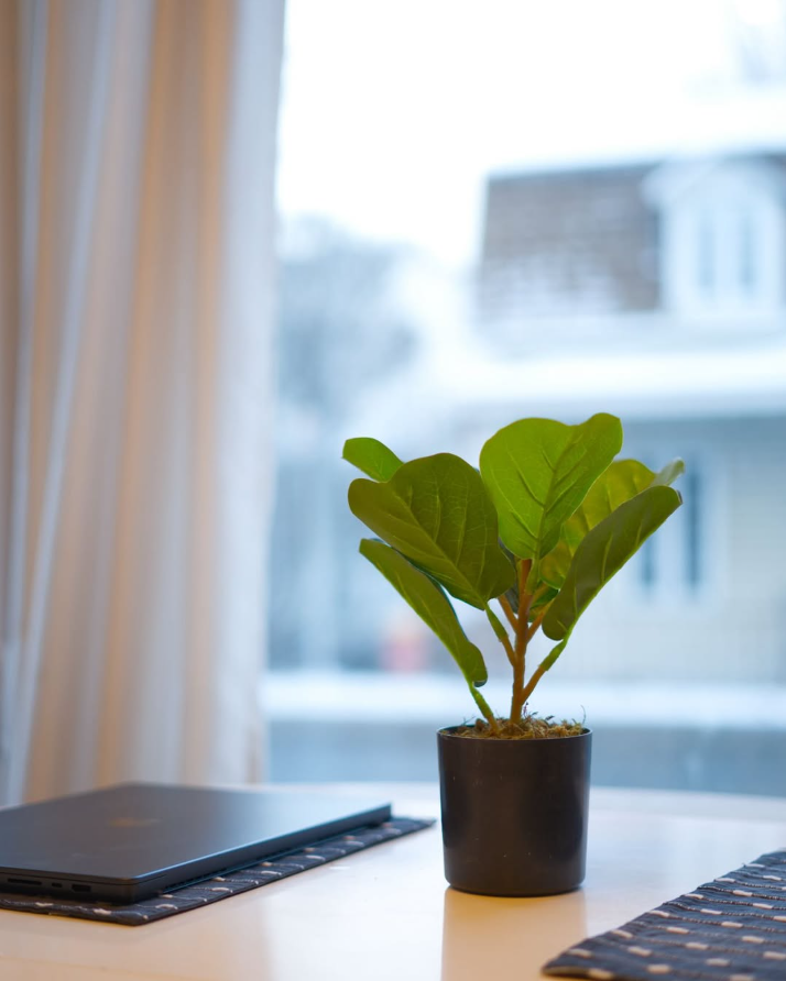 Retail Styling Done Right with Realistic Artificial Plants