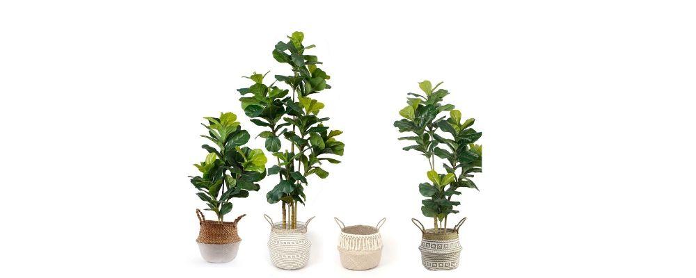 Why Fake Plants Are Once Again an Interior Home Décor Trend