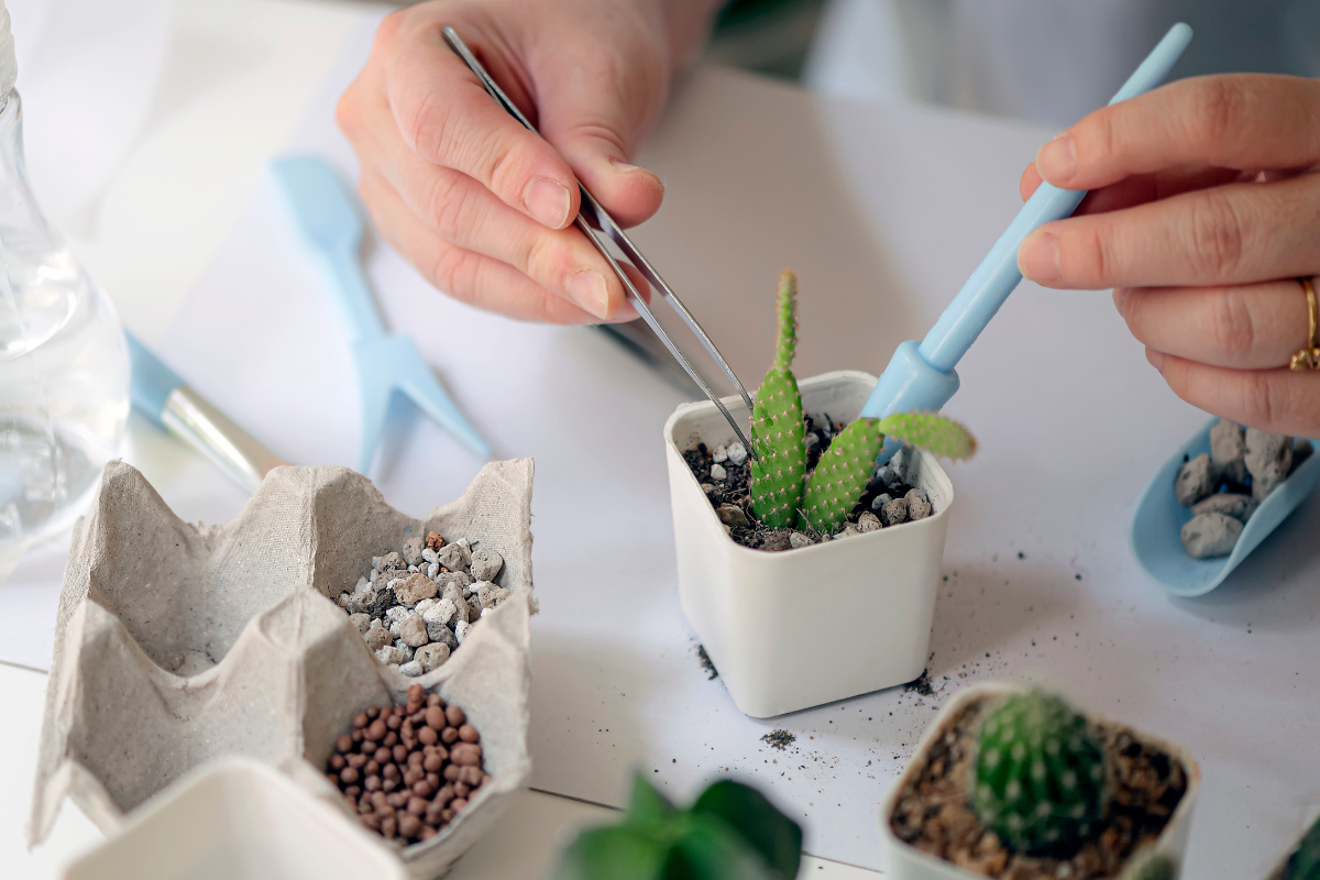 How to Make A Fake Cactus Plant