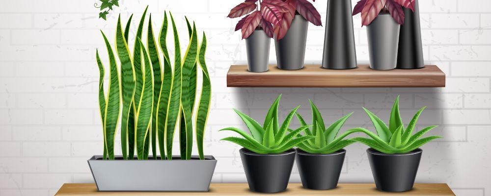 How to Make an Artificial Plant Wall to Showcase Your Favourite Faux Plants