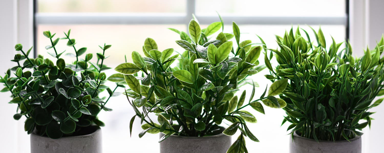 Why Buying Faux Plants in California Is A Great Gift Idea