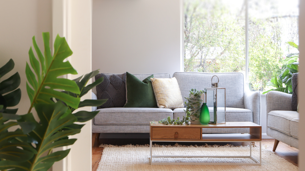 7 Reasons Your Plants Make A Difference To Your Home Decor