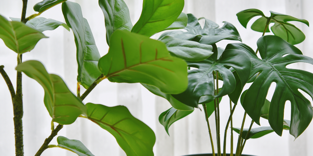 9 Things You Will Notice Taking Care Of A Fake Plant